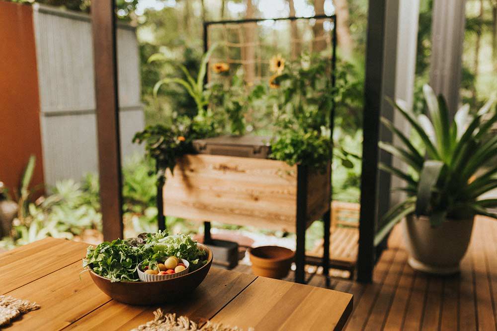 Why You Should Start Small Space Gardening Now