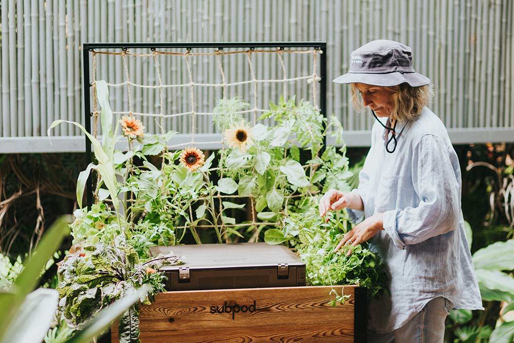 Friday Feed #141 - A Free Gardening Course, the Power of Worm Compost and a Rooftop Forest in London!