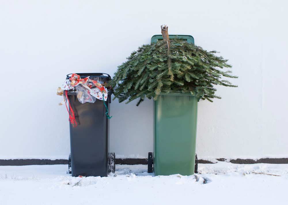 How to Have a Green Holiday Season