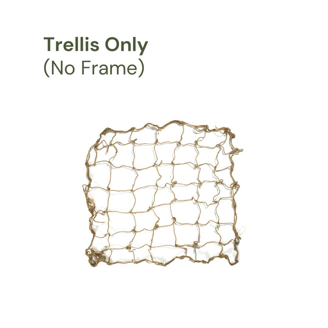 Modbed Trellis